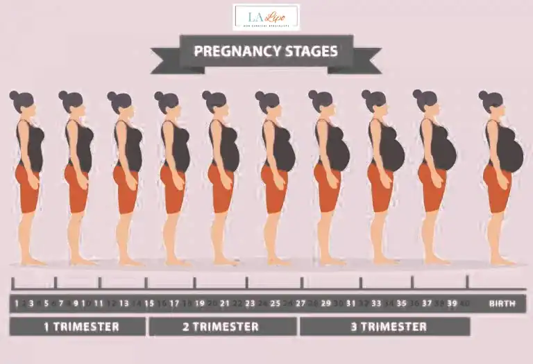 First Trimester (Weeks 1–12): Early Changes You Might Not Notice Warwickshire